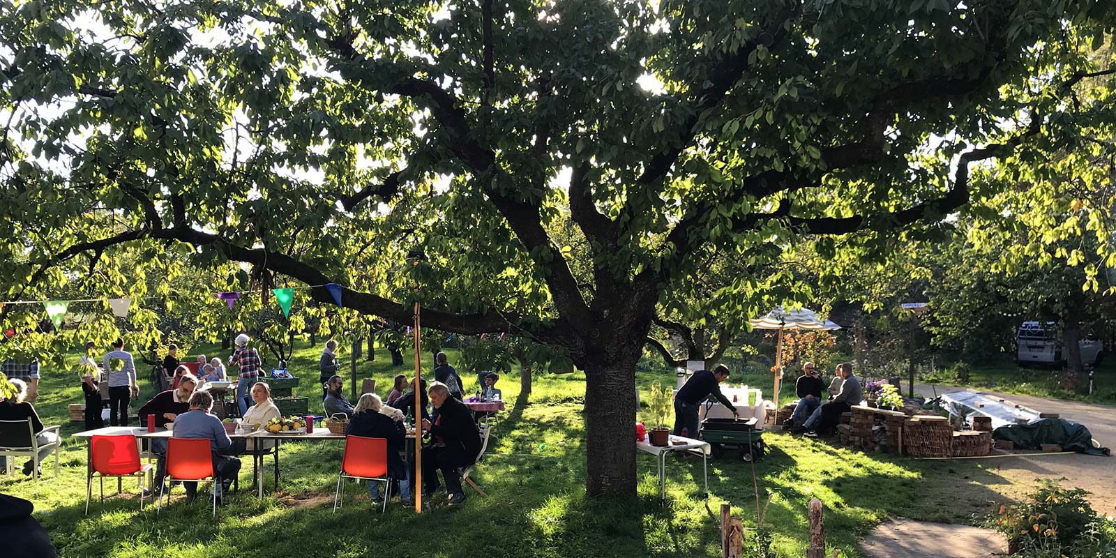 Das Foto zeigt Gäste am gedeckten Tisch unter einem großen Kirschbaum
