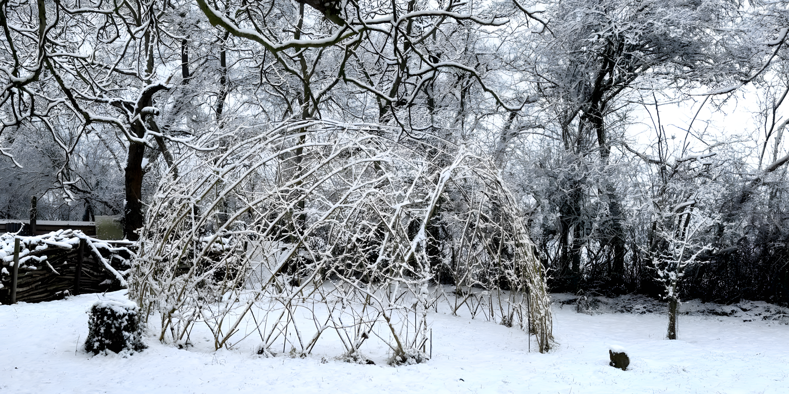 Das Foto zeigt unseren Weidendom ohne Blätter in weisser Schneepracht